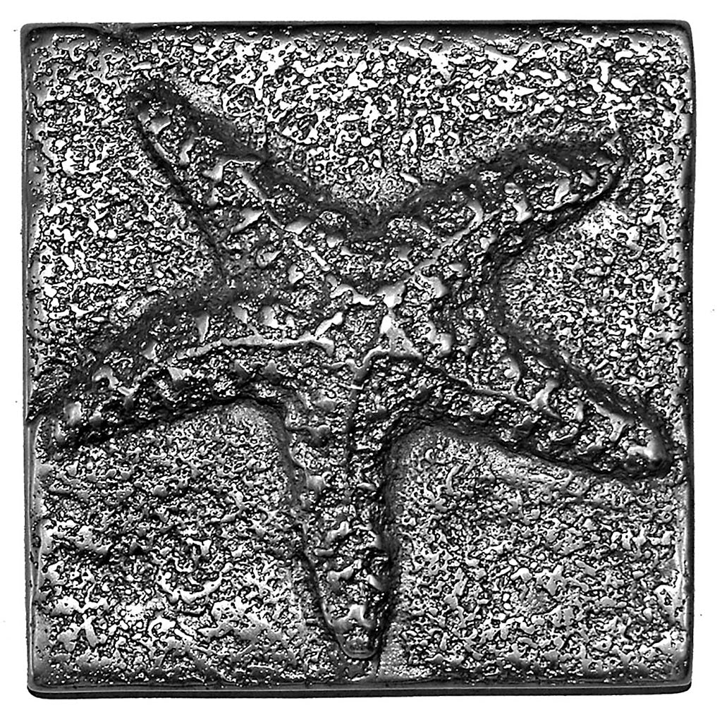 Starfish 4in X 4in