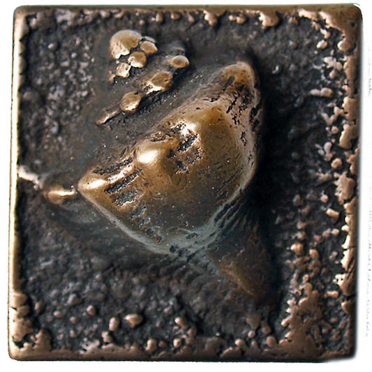 Nautilus Dot 2in X 2in