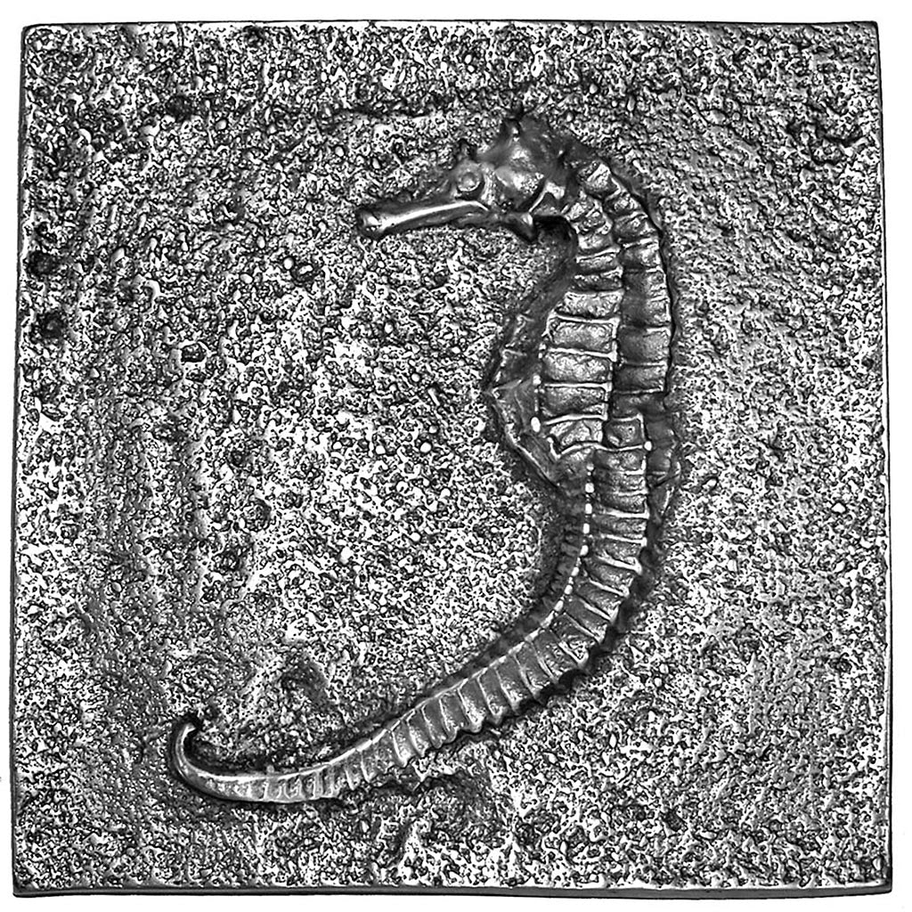 Seahorse 6in X 6in