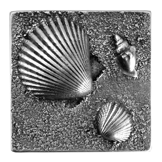 Three Shell 4in X 4in