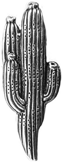 Saguaro Magnet