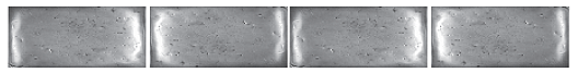 Pillow Liner 3in X 6in