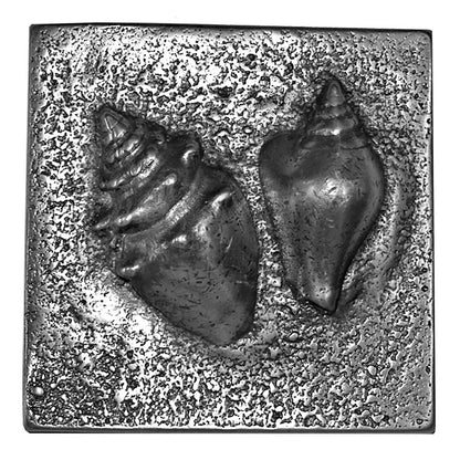 Two Shell 4in X 4in