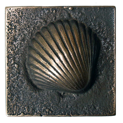 Scallop 4in X 4in