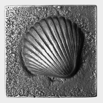 Scallop 4in X 4in