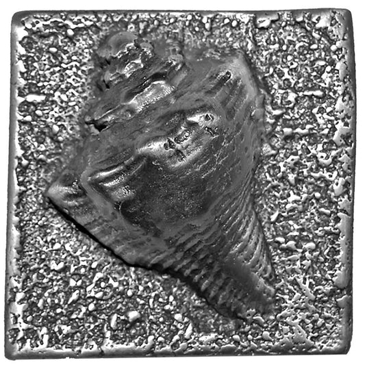 Nautilus Dot 2in X 2in
